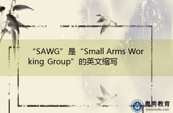 “SAWG”是“Small Arms Working Group”的英文缩写，意思是“小武器工作组”