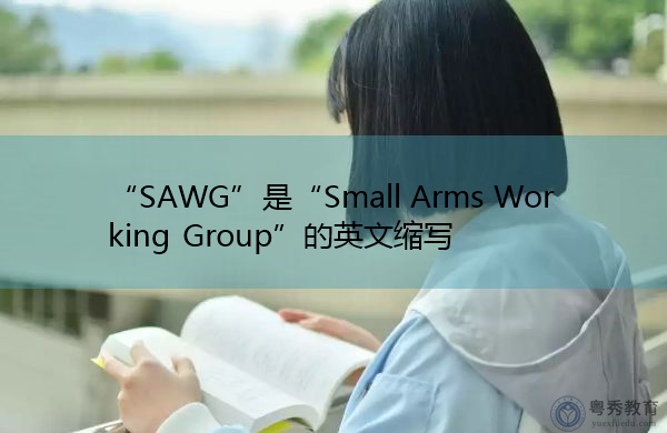 “SAWG”是“Small Arms Working Group”的英文缩写，意思是“小武器工作组”