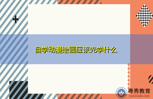 自学动漫绘画应该先学什么 自学动漫绘画应该先学什么