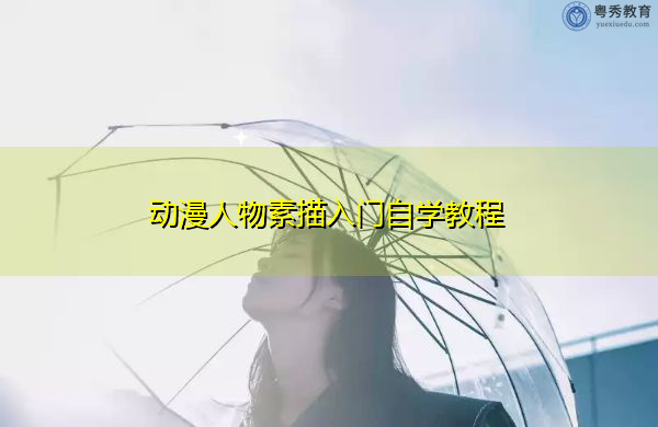 动漫人物素描入门自学教程 动漫人物素描入门自学教程
