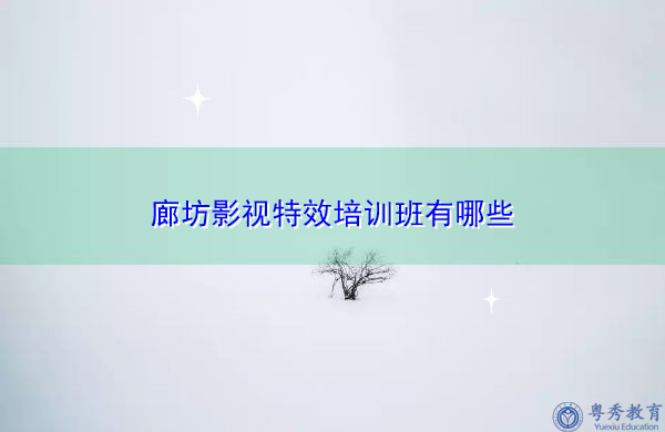 廊坊影视特效培训班有哪些 廊坊影视特效培训班有哪些