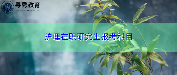 护理在职研究生报考科目 护理在职研究生报考科目