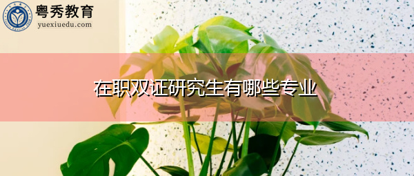 在职双证研究生有哪些专业