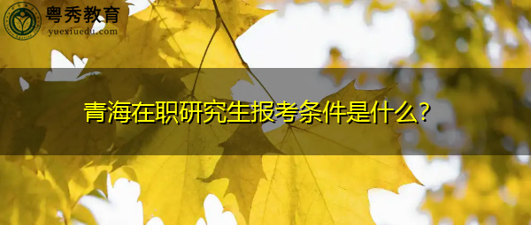 青海在职研究生报考条件是什么？