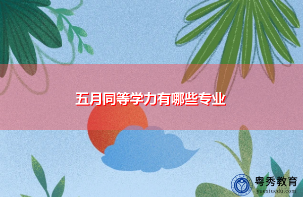 五月同等学力有哪些专业