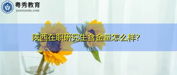 陕西在职研究生含金量怎么样？