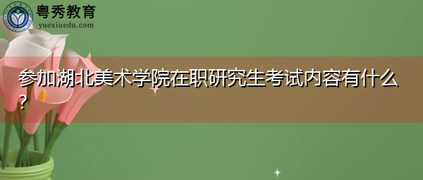 参加湖北美术学院在职研究生考试内容有什么? 参加湖北美术学院在职研究生考试内容有什么?