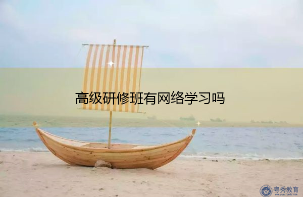 高级研修班有网络学习吗 高级研修班有网络学习吗