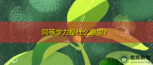 同等学力是什么意思？