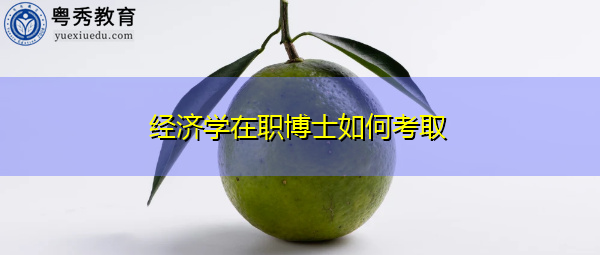 经济学在职博士如何考取