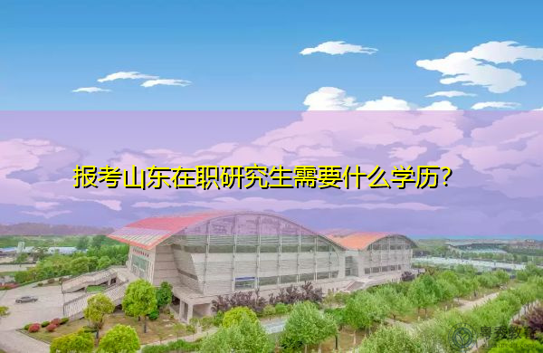 报考山东在职研究生需要什么学历? 报考山东在职研究生需要什么学历?