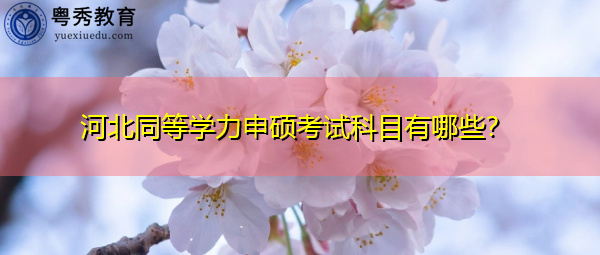 河北同等学力申硕考试科目有哪些？