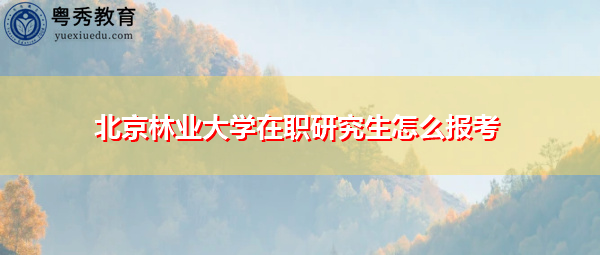 北京林业大学在职研究生怎么报考 北京林业大学在职研究生怎么报考