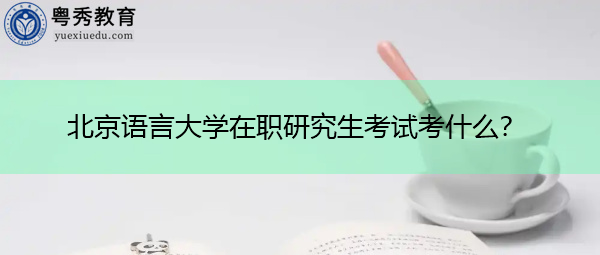 北京语言大学在职研究生考试考什么？