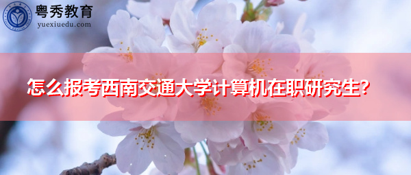 怎么报考西南交通大学计算机在职研究生? 怎么报考西南交通大学计算机在职研究生?