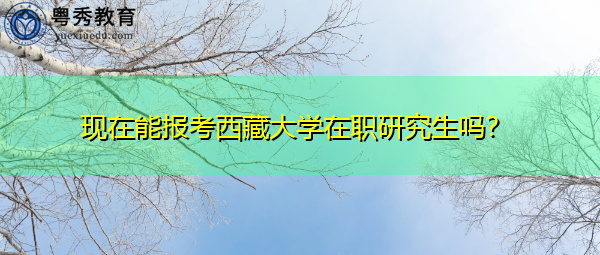 现在能报考西藏大学在职研究生吗？