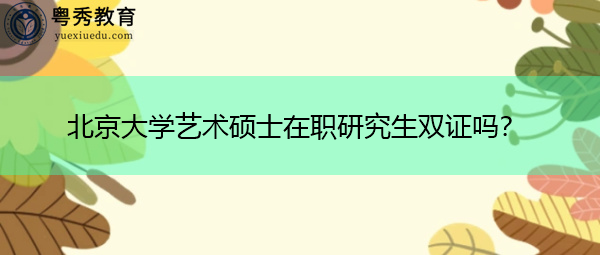 北京大学艺术硕士在职研究生双证吗？