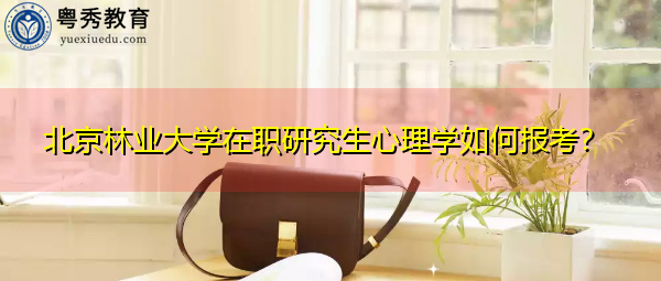 北京林业大学在职研究生心理学如何报考？
