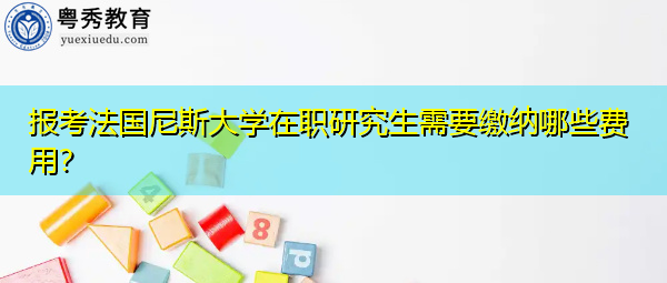 报考法国尼斯大学在职研究生需要缴纳哪些费用？