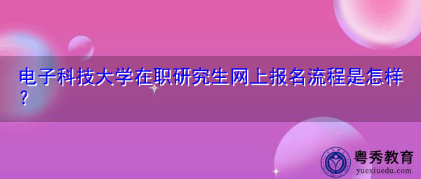 电子科技大学在职研究生网上报名流程是怎样？