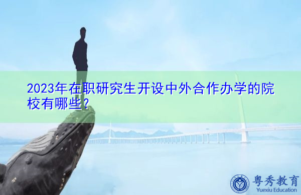 2023年在职研究生开设中外合作办学的院校有哪些？
