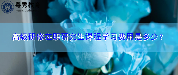 高级研修在职研究生课程学习费用是多少？