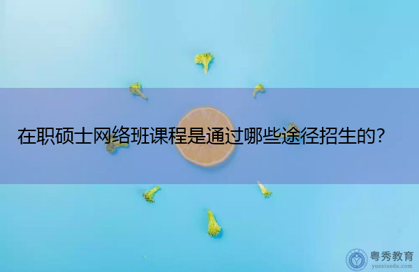 在职硕士网络班课程是通过哪些途径招生的？