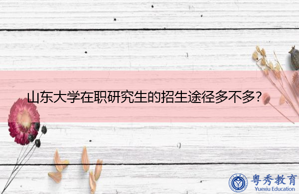 山东大学在职研究生的招生途径多不多？