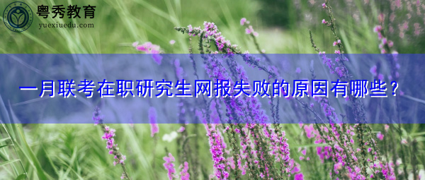 一月联考在职研究生网报失败的原因有哪些？