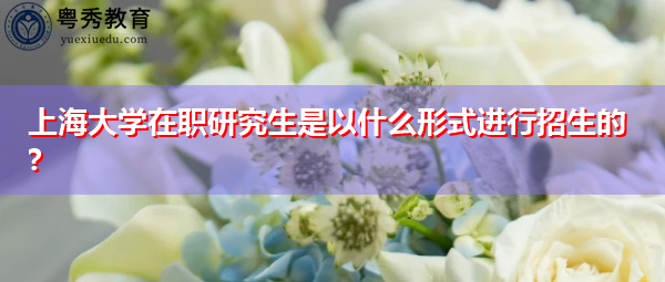 上海大学在职研究生是以什么形式进行招生的? 上海大学在职研究生是以什么形式进行招生的?