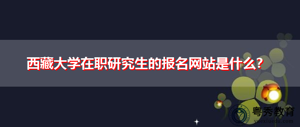 西藏大学在职研究生的报名网站是什么？