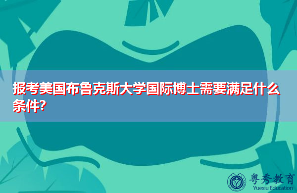 报考美国布鲁克斯大学国际博士需要满足什么条件? 报考美国布鲁克斯大学国际博士需要满足什么条件?