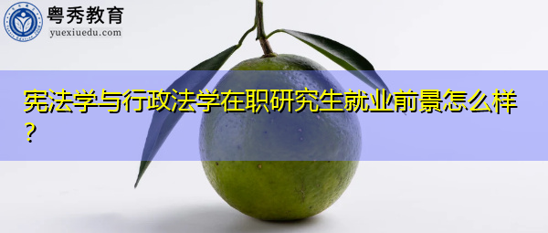 宪法学与行政法学在职研究生就业前景怎么样？