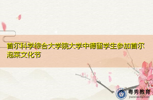 首尔科学综合大学院大学中德留学生参加首尔泡菜文化节 首尔科学综合大学院大学中德留学生参加首尔泡菜文化节