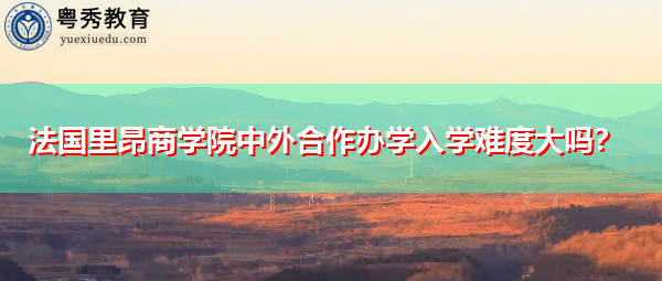法国里昂商学院中外合作办学入学难度大吗？