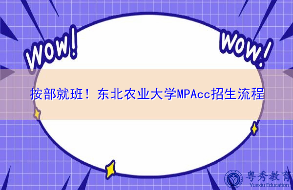 按部就班！东北农业大学MPAcc招生流程