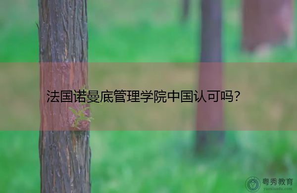 法国诺曼底管理学院中国认可吗？