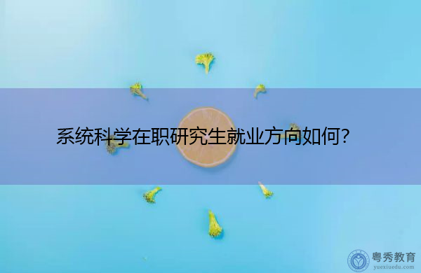系统科学在职研究生就业方向如何? 系统科学在职研究生就业方向如何?