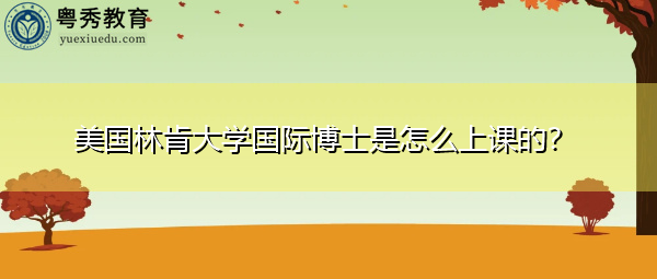 美国林肯大学国际博士是怎么上课的？