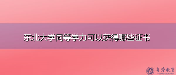 东北大学同等学力可以获得哪些证书