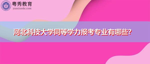 河北科技大学同等学力报考专业有哪些？