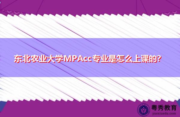 东北农业大学MPAcc专业是怎么上课的？