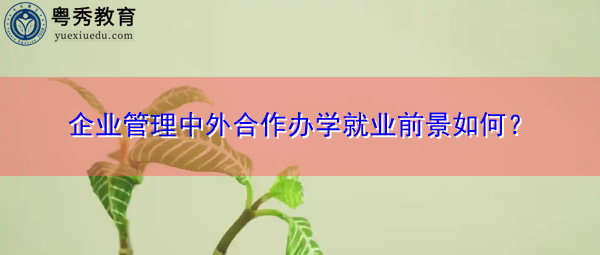 企业管理中外合作办学就业前景如何？