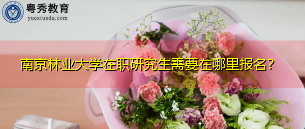 南京林业大学在职研究生需要在哪里报名？