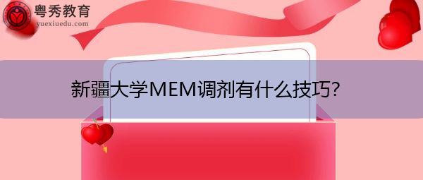新疆大学MEM调剂有什么技巧？