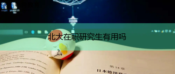 北大在职研究生有用吗