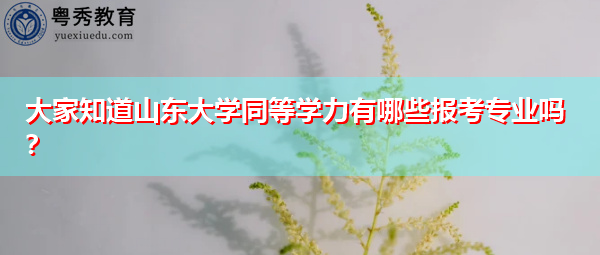 大家知道山东大学同等学力有哪些报考专业吗? 大家知道山东大学同等学力有哪些报考专业吗?