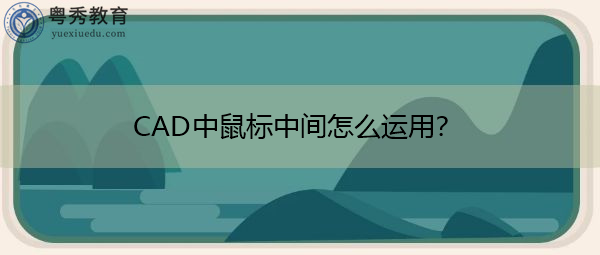 CAD中鼠标中间怎么运用? CAD中鼠标中间怎么运用?