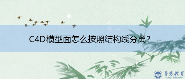 C4D模型面怎么按照结构线分离？