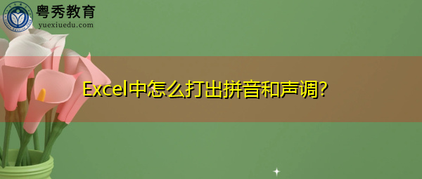 Excel中怎么打出拼音和声调？